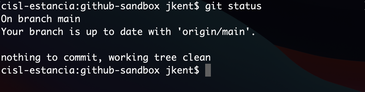 Git Status